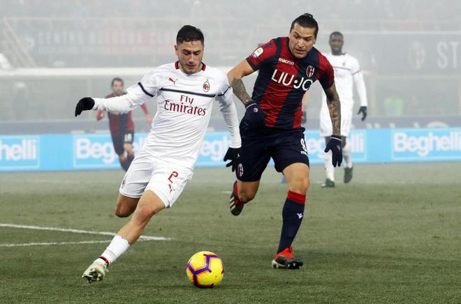 明星帕尔默 明星帕尔默