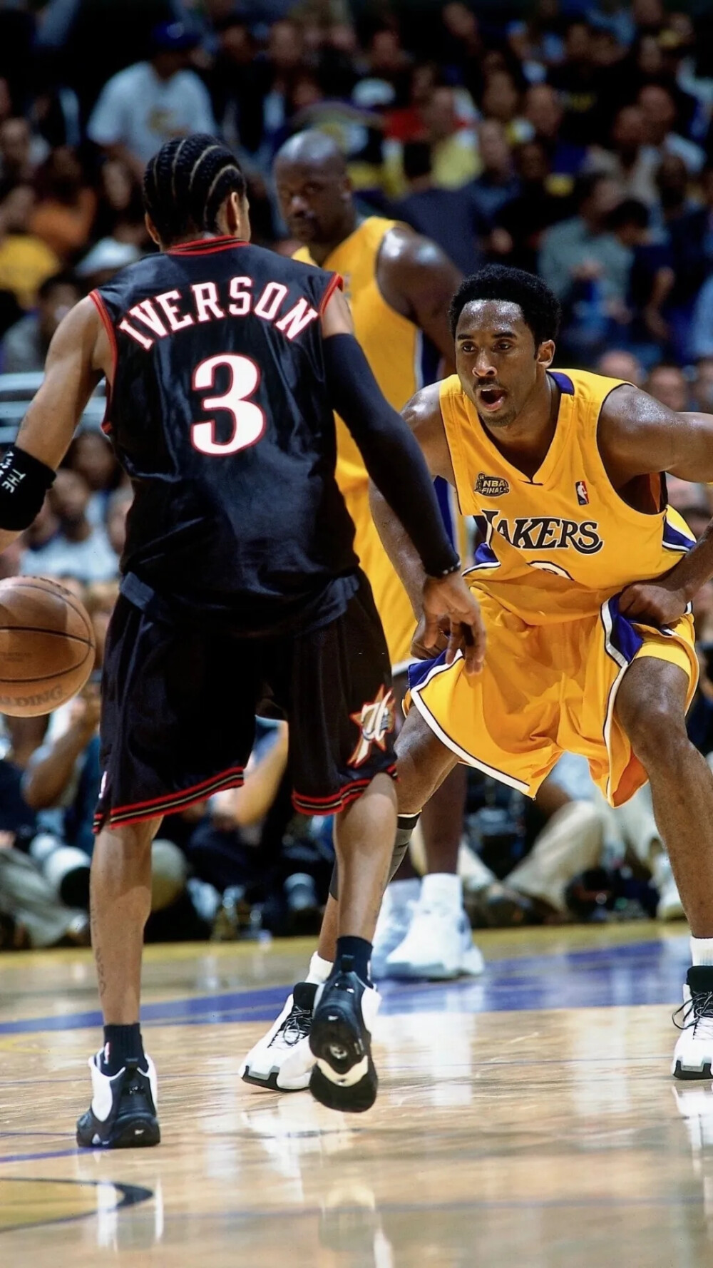 终圈以投掷 终圈以投掷